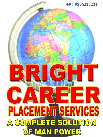 Bright Career Placement Sevices